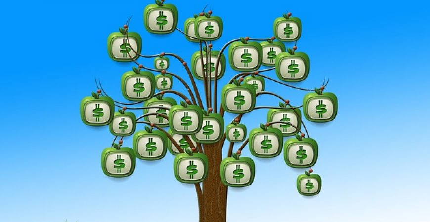 O que avaliar em uma instituição para investir
