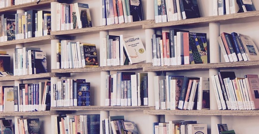 5 livros indicados para quem quer cuidar melhor do dinheiro